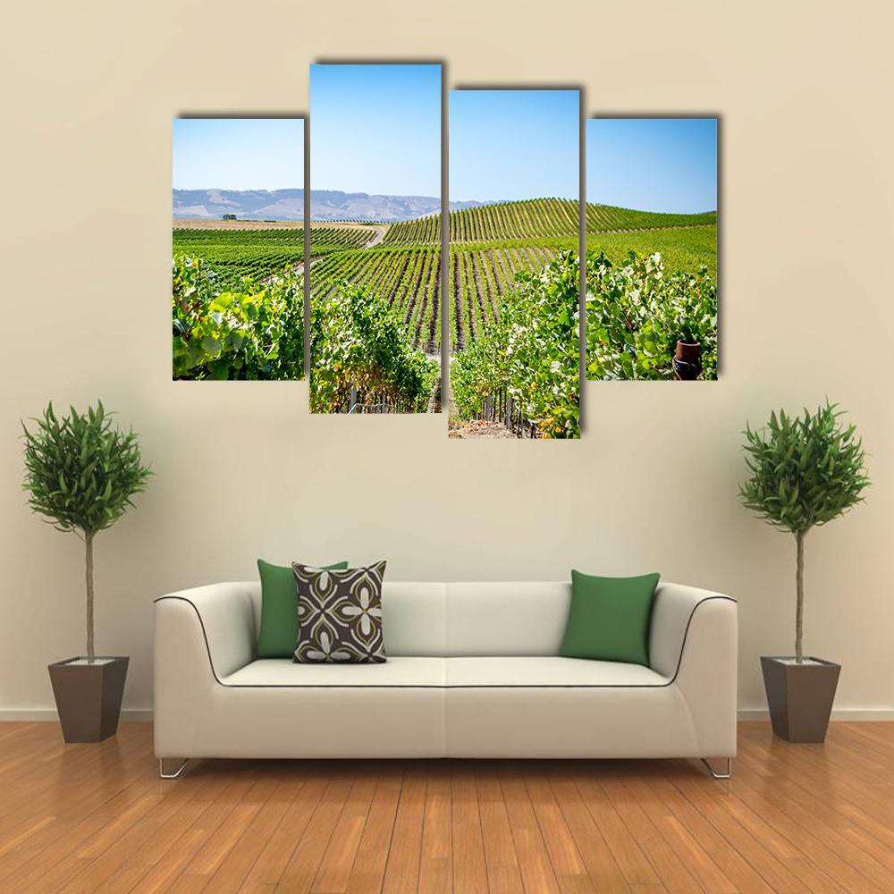 Vineyard in Napa Valley California Canvas Wall Art-4 Pop-Gallery Wrap-34" x 20"-Tiaracle