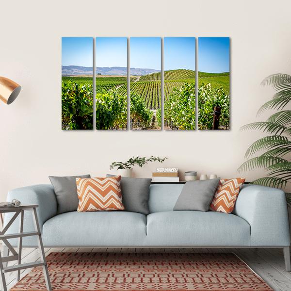 Vineyard in Napa Valley California Canvas Wall Art-5 Horizontal-Gallery Wrap-22" x 12"-Tiaracle