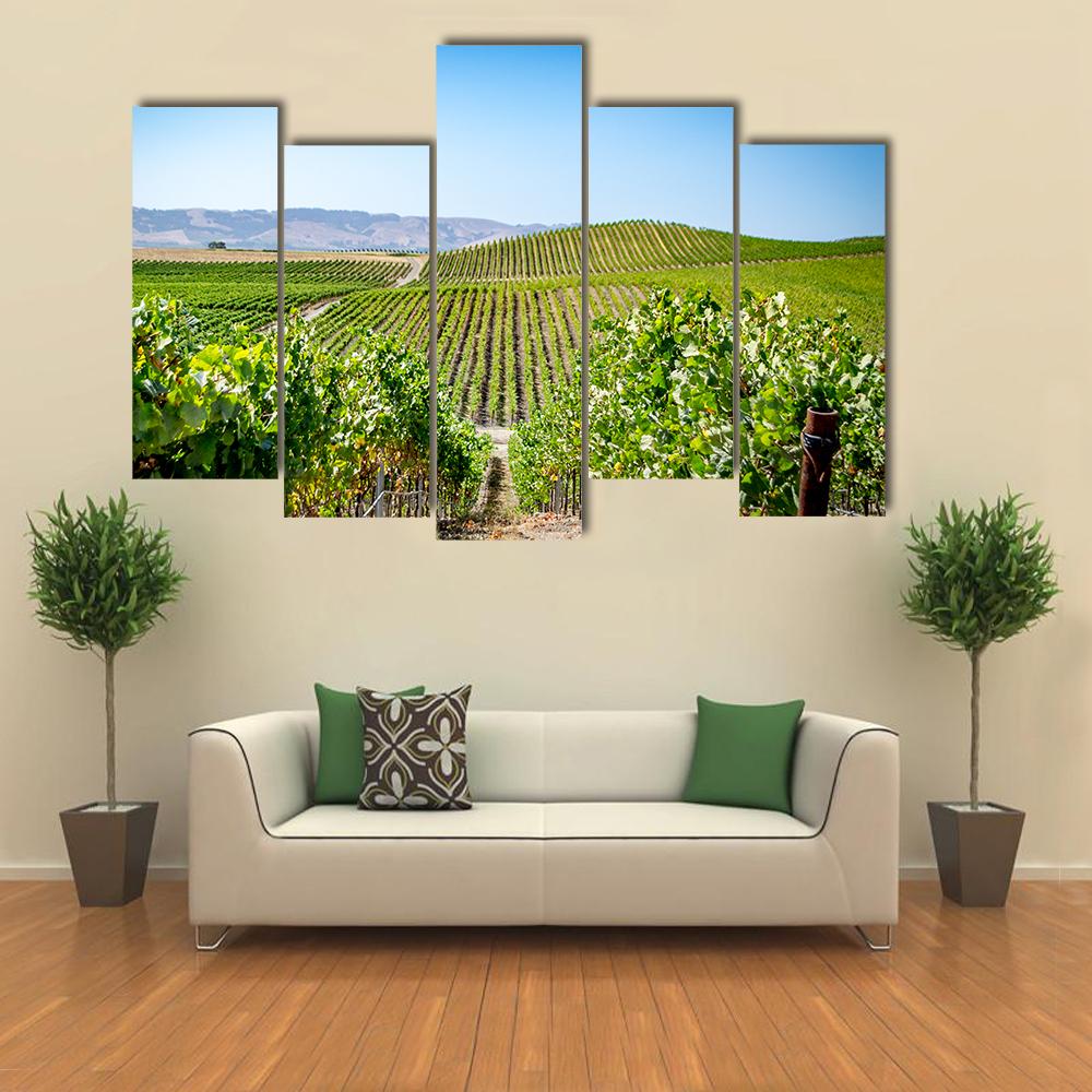 Vineyard in Napa Valley California Canvas Wall Art-5 Pop-Gallery Wrap-32" x 21"-Tiaracle