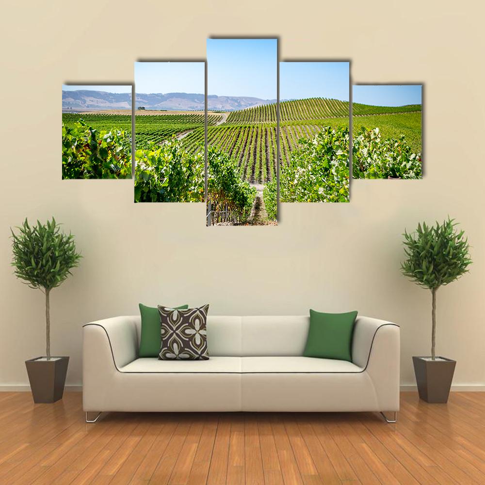 Vineyard in Napa Valley California Canvas Wall Art-5 Star-Gallery Wrap-42" x 21"-Tiaracle
