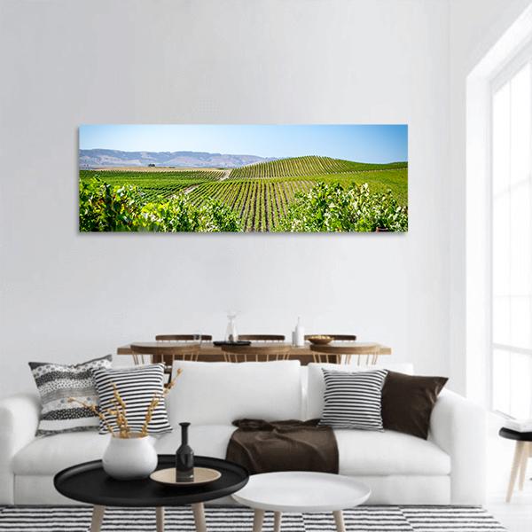 Vineyard in Napa Valley California Panoramic Canvas Wall Art-3 Piece-25" x 08"-Tiaracle