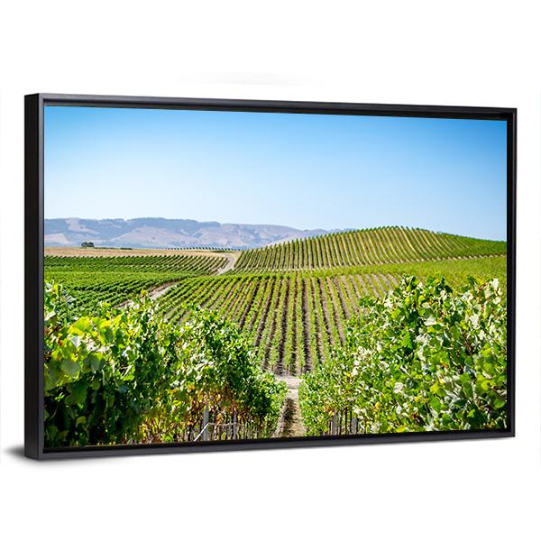 Vineyard in Napa Valley California Panoramic Canvas Wall Art-1 Piece-36" x 12"-Tiaracle