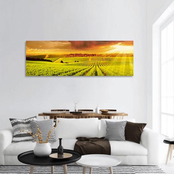 Vineyard In South Australia Panoramic Canvas Wall Art-3 Piece-25" x 08"-Tiaracle