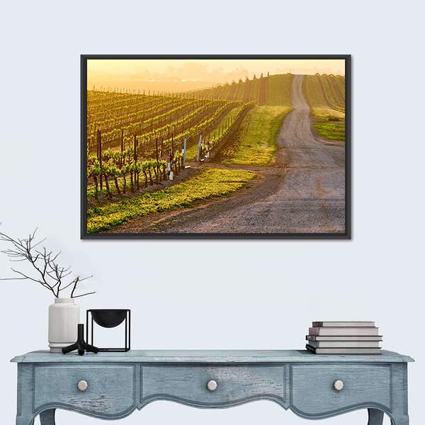 Vineyards Landscape At Sunrise In California Canvas Wall Art-1 Piece-Floating Frame-24" x 16"-Tiaracle
