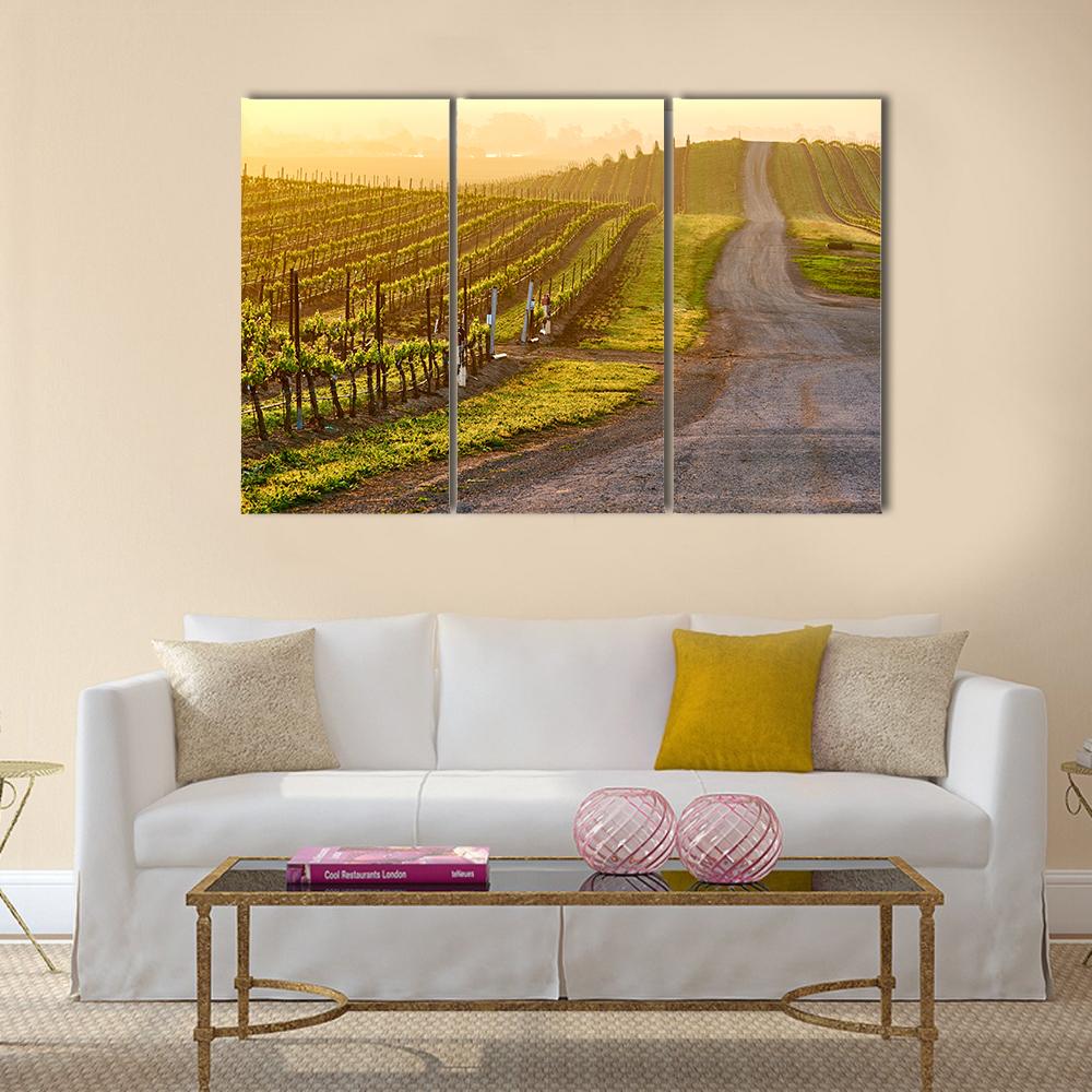 Vineyards Landscape At Sunrise In California Canvas Wall Art-3 Horizontal-Gallery Wrap-25" x 16"-Tiaracle