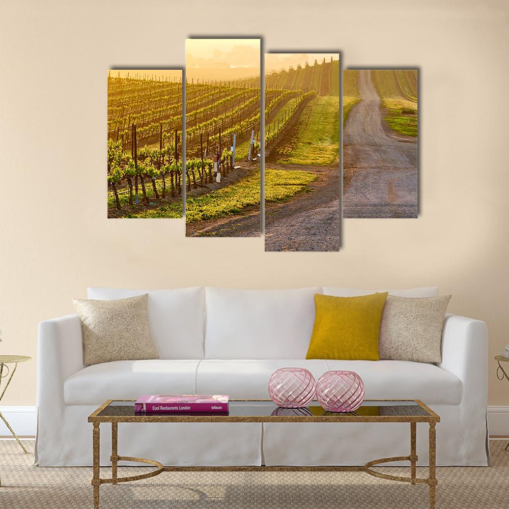 Vineyards Landscape At Sunrise In California Canvas Wall Art-4 Pop-Gallery Wrap-34" x 20"-Tiaracle