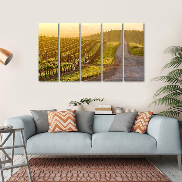Vineyards Landscape At Sunrise In California Canvas Wall Art-5 Horizontal-Gallery Wrap-22" x 12"-Tiaracle