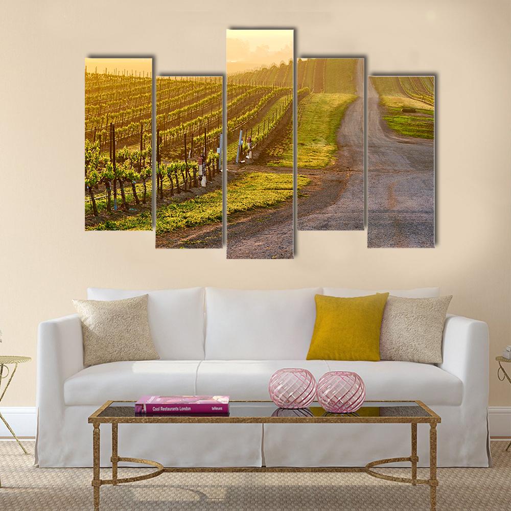 Vineyards Landscape At Sunrise In California Canvas Wall Art-5 Pop-Gallery Wrap-32" x 21"-Tiaracle