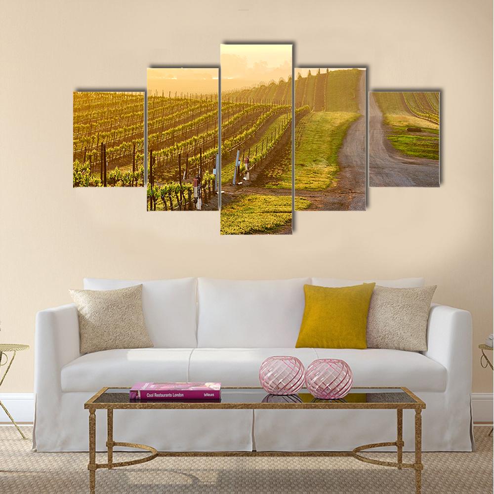 Vineyards Landscape At Sunrise In California Canvas Wall Art-5 Star-Gallery Wrap-42" x 21"-Tiaracle