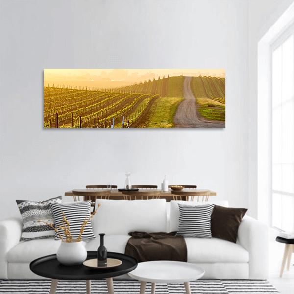 Vineyards Landscape At Sunrise In California Panoramic Canvas Wall Art-3 Piece-25" x 08"-Tiaracle