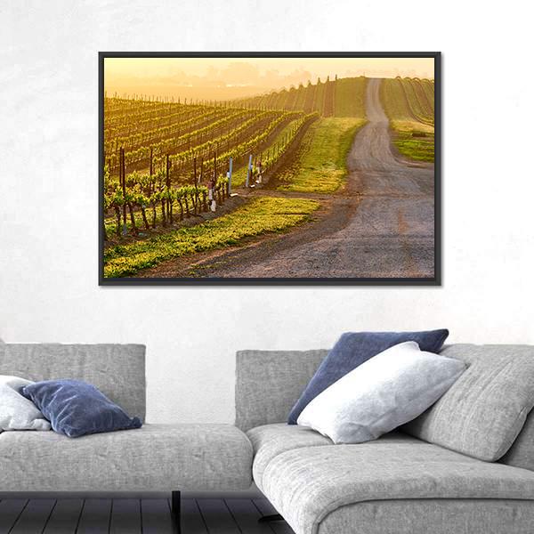 Vineyards Landscape At Sunrise In California Panoramic Canvas Wall Art-1 Piece-36" x 12"-Tiaracle