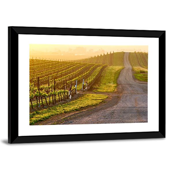 Vineyards Landscape At Sunrise In California Panoramic Canvas Wall Art-1 Piece-36" x 12"-Tiaracle