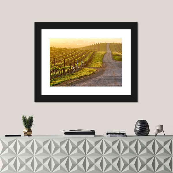 Vineyards Landscape At Sunrise In California Panoramic Canvas Wall Art-1 Piece-36" x 12"-Tiaracle