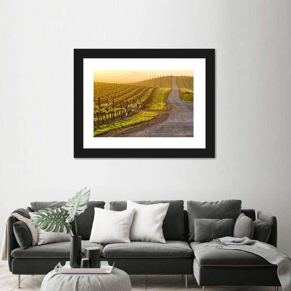 Vineyards Landscape At Sunrise In California Vertical Canvas Wall Art-3 Vertical-Gallery Wrap-12" x 25"-Tiaracle