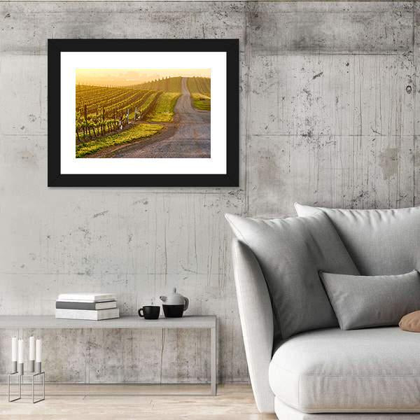 Vineyards Landscape At Sunrise In California Vertical Canvas Wall Art-3 Vertical-Gallery Wrap-12" x 25"-Tiaracle