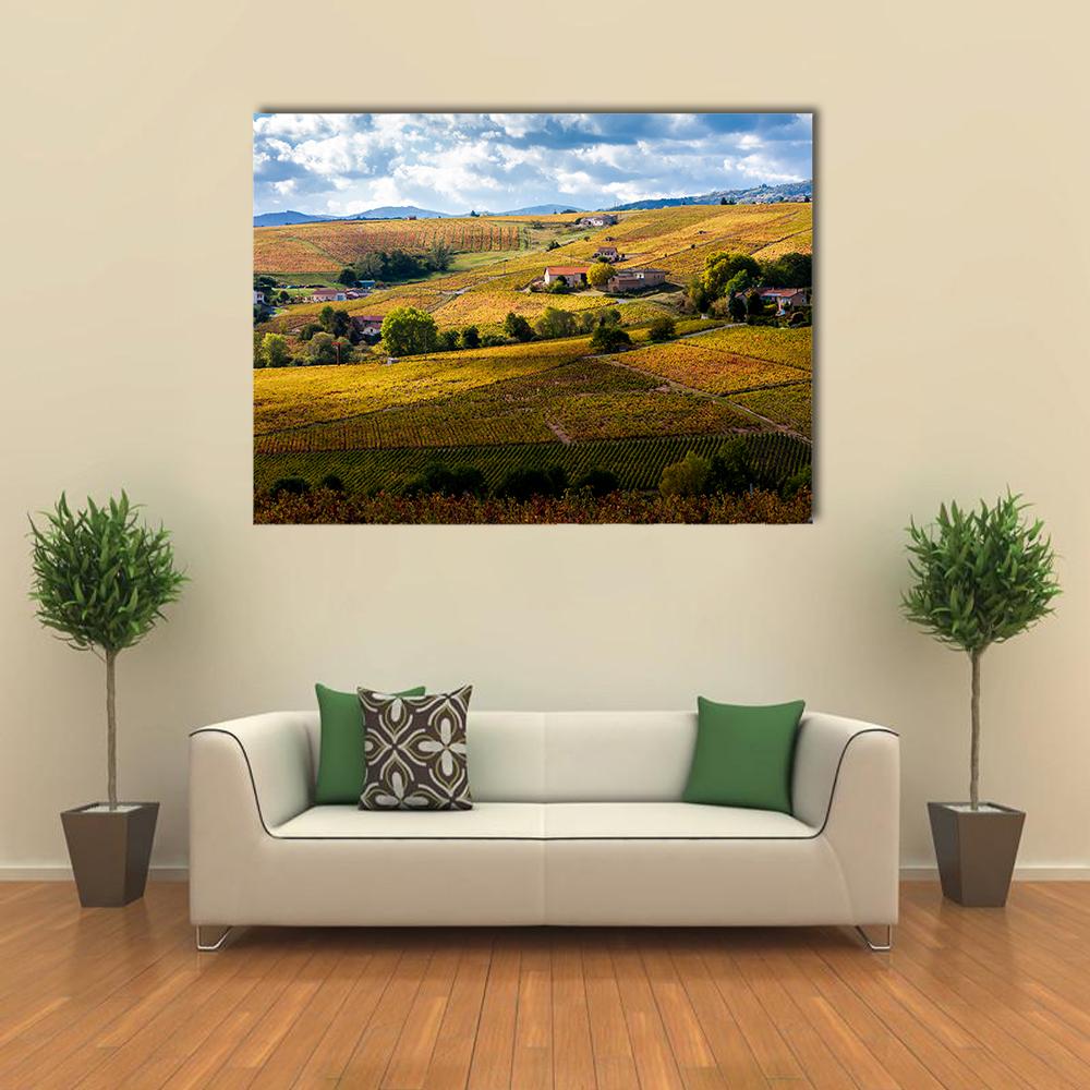 Vineyards Of Beaujolais France Canvas Wall Art-3 Horizontal-Gallery Wrap-25" x 16"-Tiaracle