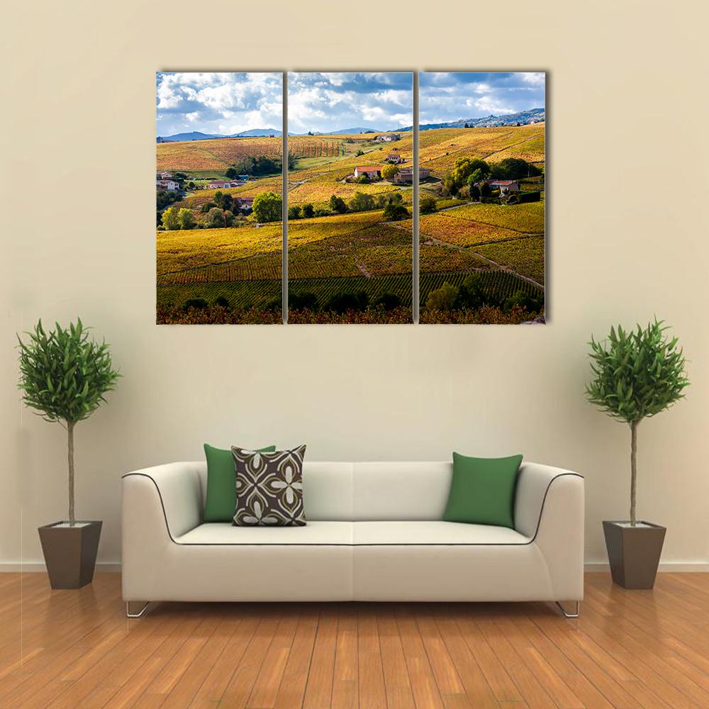 Vineyards Of Beaujolais France Canvas Wall Art-3 Horizontal-Gallery Wrap-25" x 16"-Tiaracle