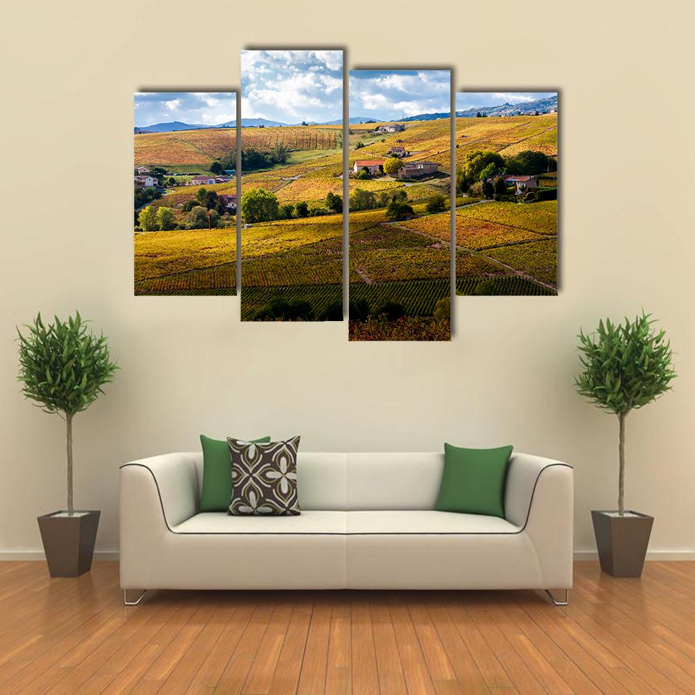 Vineyards Of Beaujolais France Canvas Wall Art-4 Pop-Gallery Wrap-34" x 20"-Tiaracle