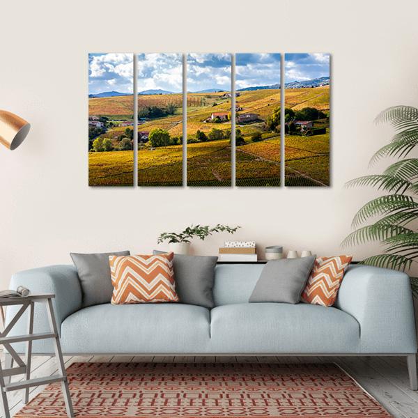 Vineyards Of Beaujolais France Canvas Wall Art-5 Horizontal-Gallery Wrap-22" x 12"-Tiaracle