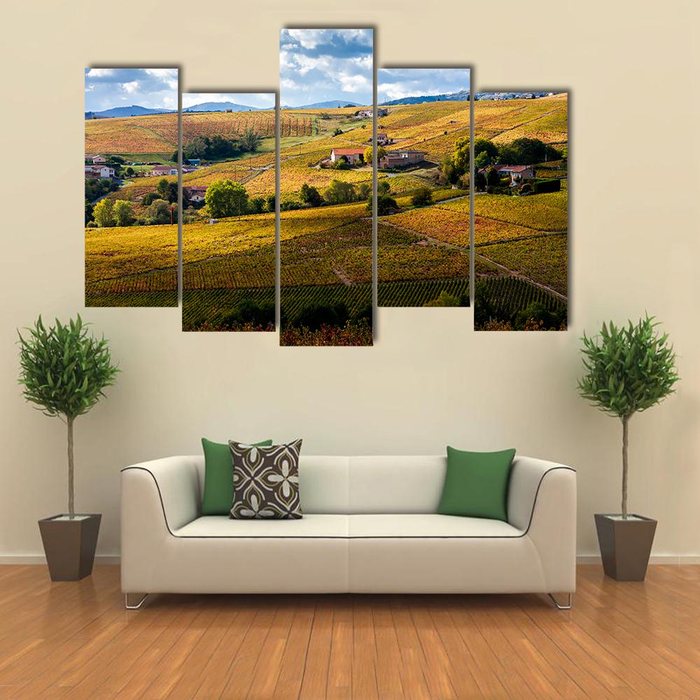 Vineyards Of Beaujolais France Canvas Wall Art-5 Pop-Gallery Wrap-32" x 21"-Tiaracle