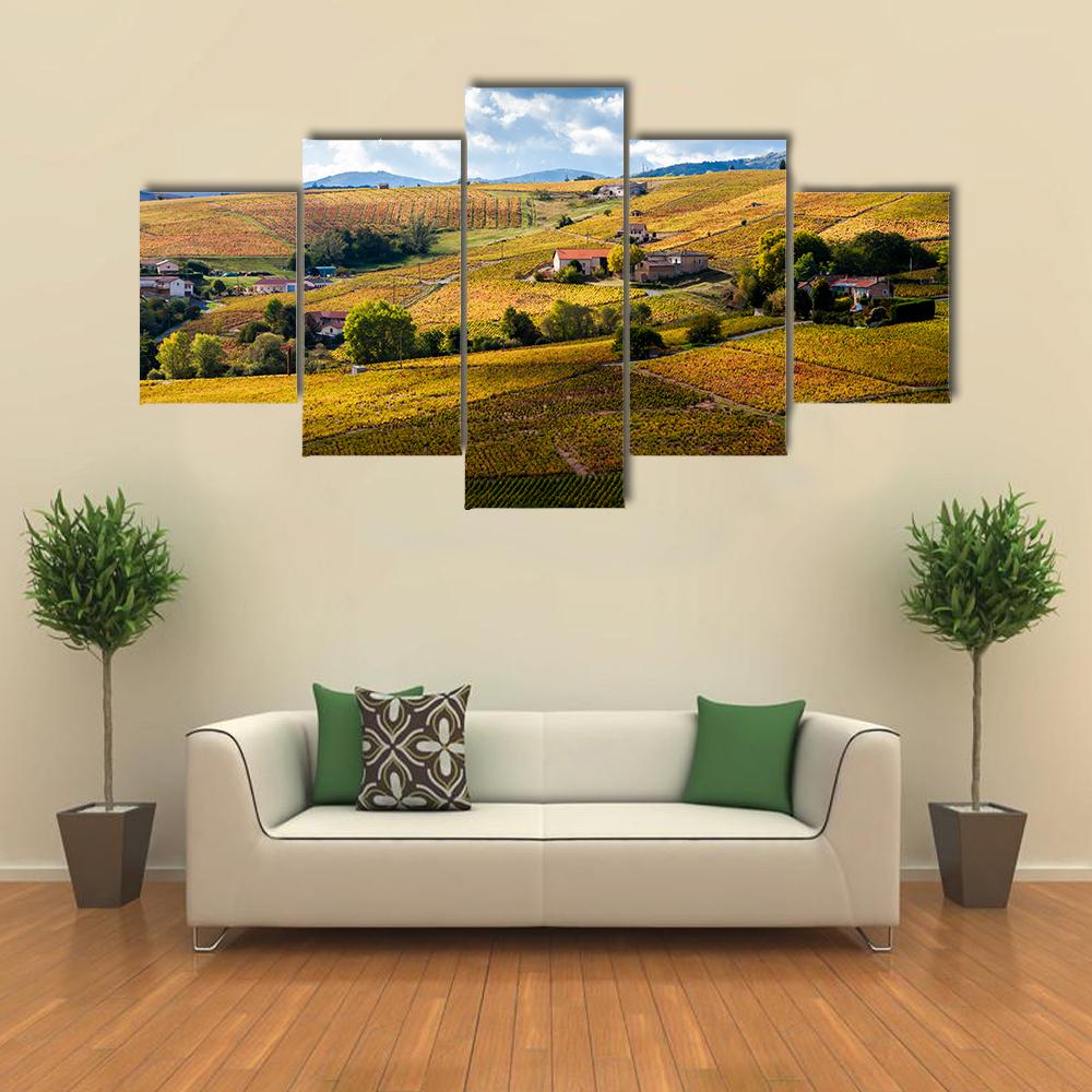 Vineyards Of Beaujolais France Canvas Wall Art-5 Star-Gallery Wrap-42" x 21"-Tiaracle