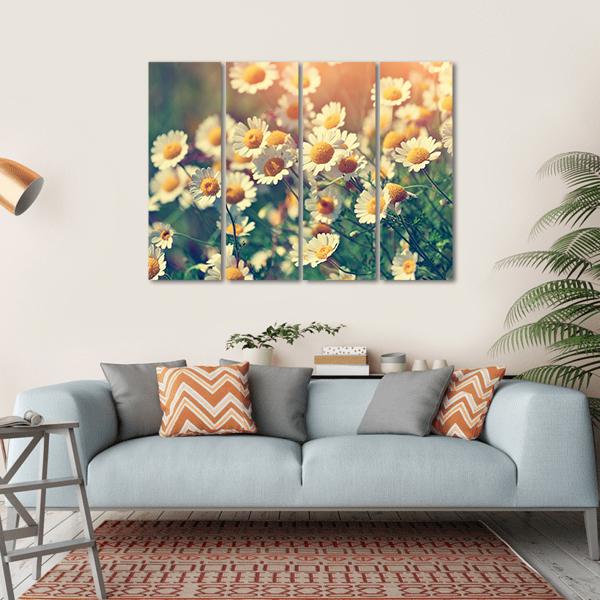 Vintage Wild Chamomile Flowers Canvas Wall Art-4 Horizontal-Gallery Wrap-34" x 24"-Tiaracle