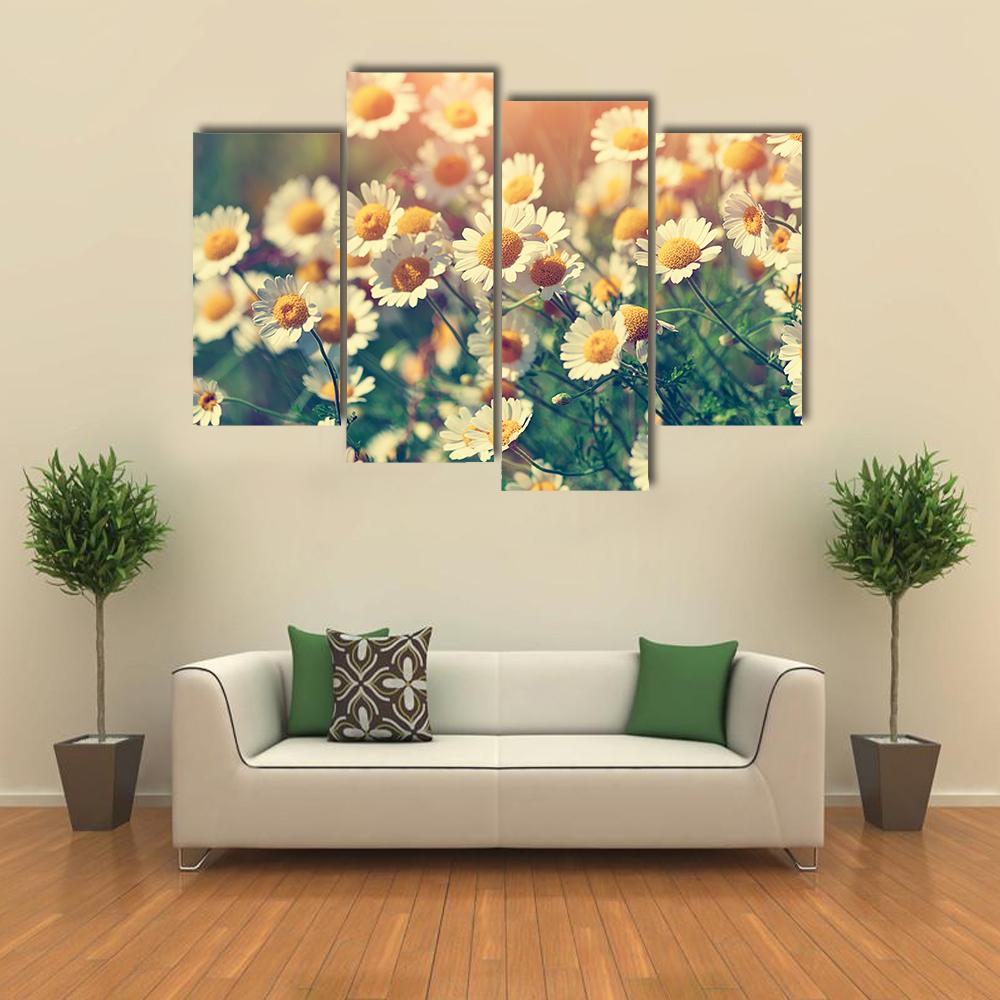 Vintage Wild Chamomile Flowers Canvas Wall Art-4 Pop-Gallery Wrap-34" x 20"-Tiaracle