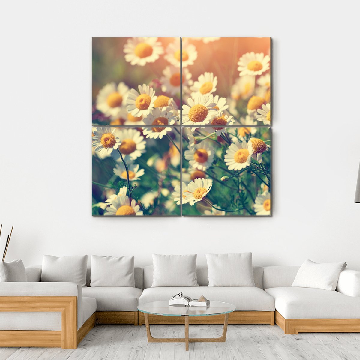 Vintage Wild Chamomile Flowers Canvas Wall Art-4 Square-Gallery Wrap-17" x 17"-Tiaracle