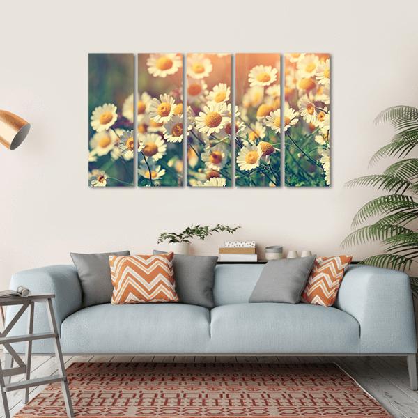 Vintage Wild Chamomile Flowers Canvas Wall Art-5 Horizontal-Gallery Wrap-22" x 12"-Tiaracle