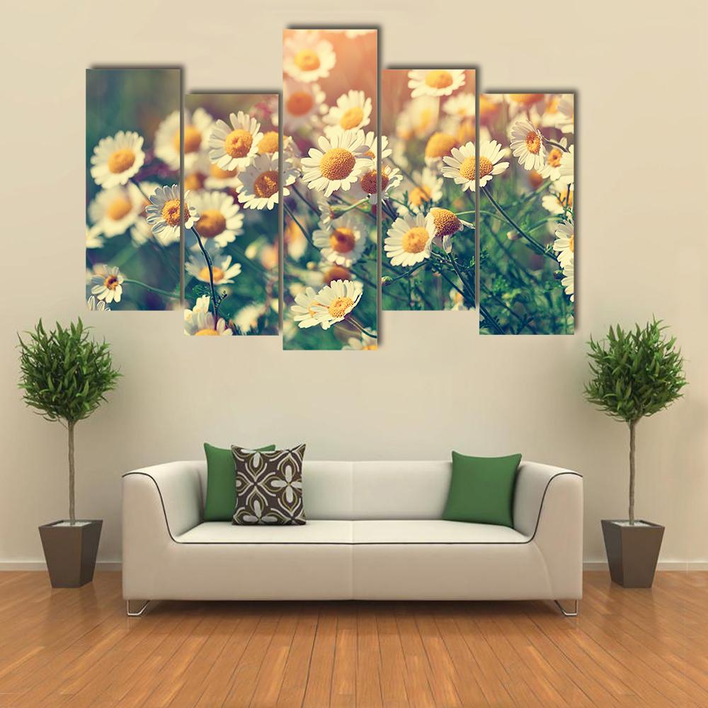 Vintage Wild Chamomile Flowers Canvas Wall Art-5 Pop-Gallery Wrap-32" x 21"-Tiaracle