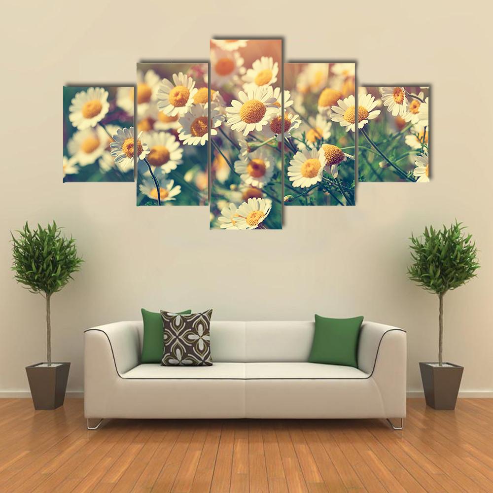 Vintage Wild Chamomile Flowers Canvas Wall Art-5 Star-Gallery Wrap-42" x 21"-Tiaracle