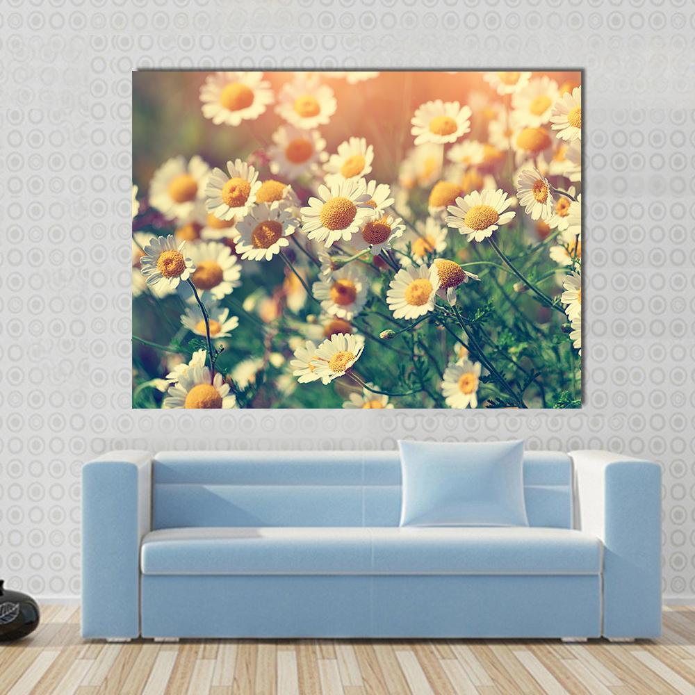 Vintage Wilde Chamomile Flowers Canvas Wall Art-1 Piece-Gallery Wrap-48" x 32"-Tiaracle