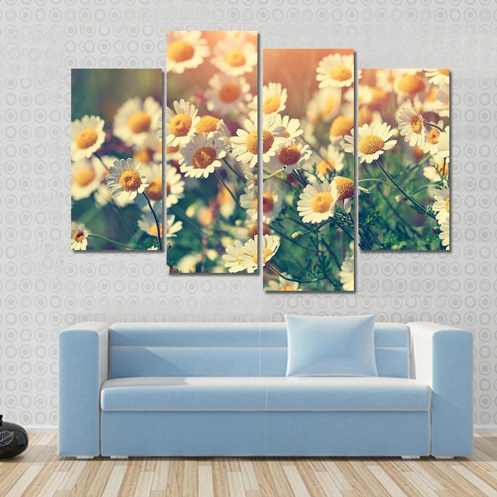 Vintage Wilde Chamomile Flowers Canvas Wall Art-4 Pop-Gallery Wrap-50" x 32"-Tiaracle