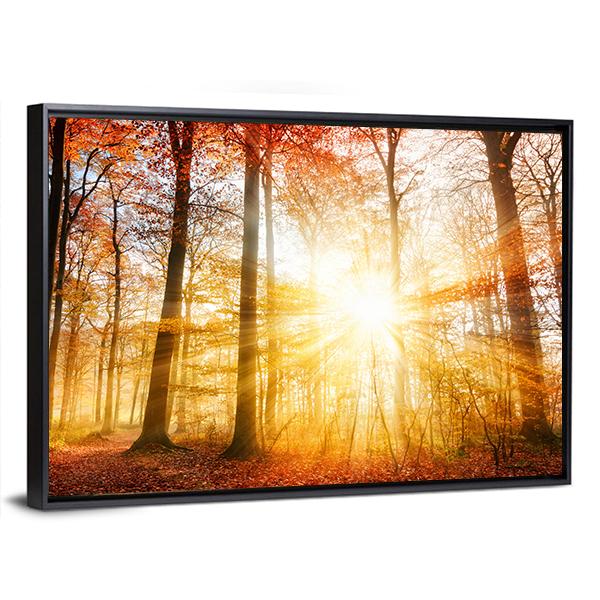 Warm Autumn Scenery In A Forest With The Sun Rays Canvas Wall Art-3 Horizontal-Gallery Wrap-25" x 16"-Tiaracle