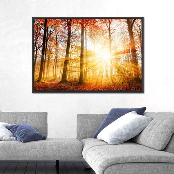 Warm Autumn Scenery In A Forest With The Sun Rays Canvas Wall Art-3 Horizontal-Gallery Wrap-25" x 16"-Tiaracle