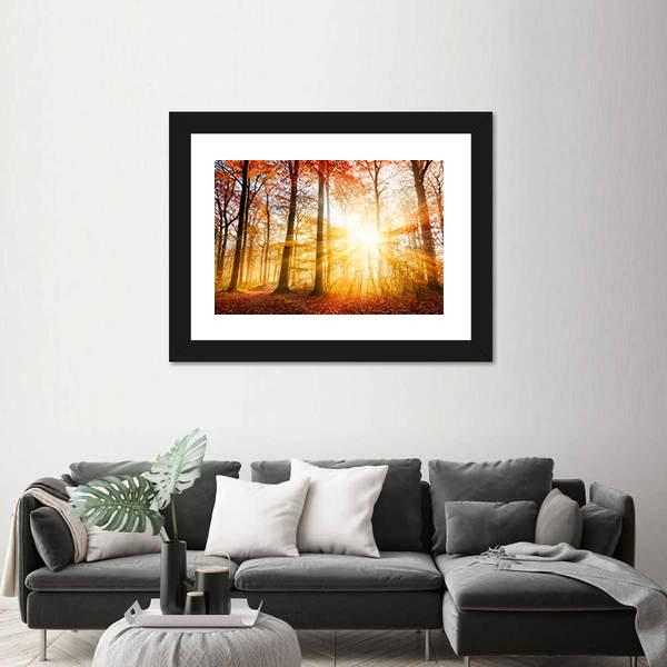 Warm Autumn Scenery In A Forest With The Sun Rays Canvas Wall Art