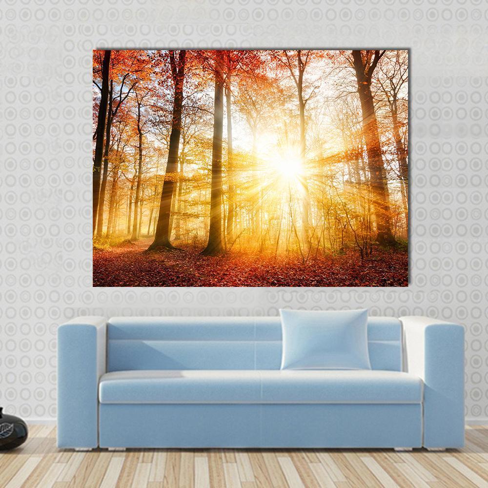 Warm Autumn Scenery in a Forest with Sun Rays Canvas Wall Art in brown, orange and yellow, single panel hung on a wall