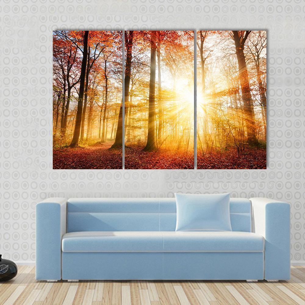Warm Autumn Scenery In A Forest With The Sun Rays Canvas Wall Art-3 Horizontal-Gallery Wrap-37" x 24"-Tiaracle