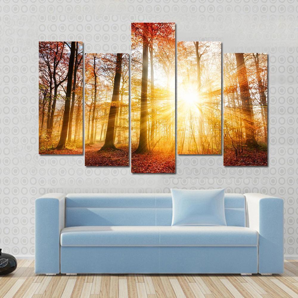 Warm Autumn Scenery In A Forest With The Sun Rays Canvas Wall Art-5 Pop-Gallery Wrap-47" x 32"-Tiaracle