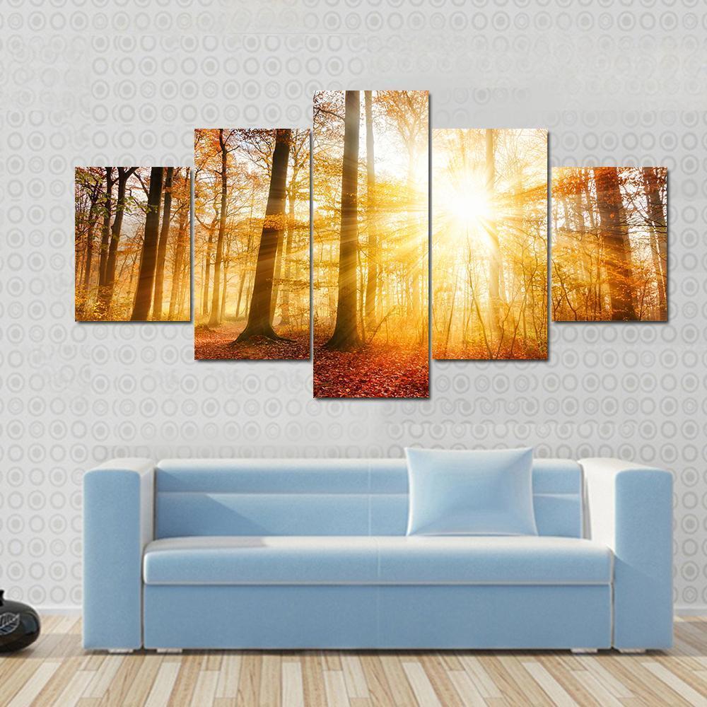 Warm Autumn Scenery In A Forest With The Sun Rays Canvas Wall Art-5 Star-Gallery Wrap-62&quot; x 32&quot;-Tiaracle