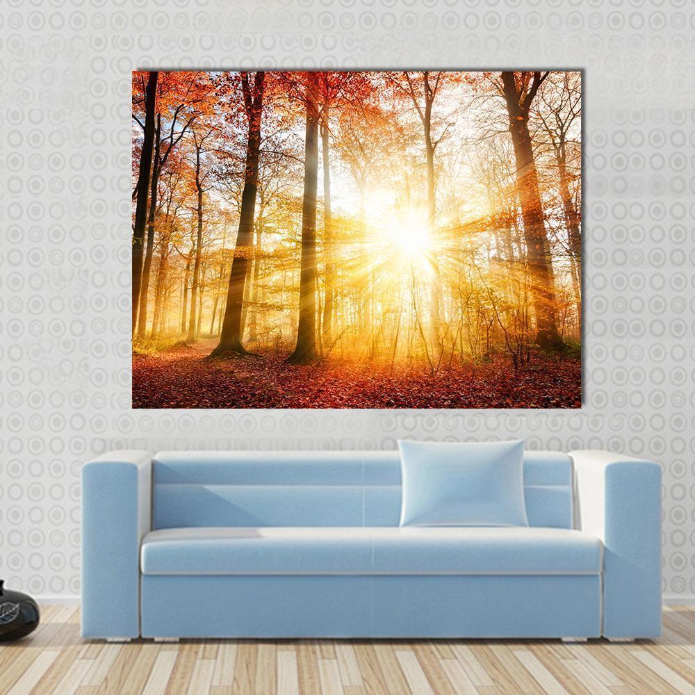 Autumn Sunburst in Forest Canvas Wall Art in brown, orange and yellow, single panel hung on a wall