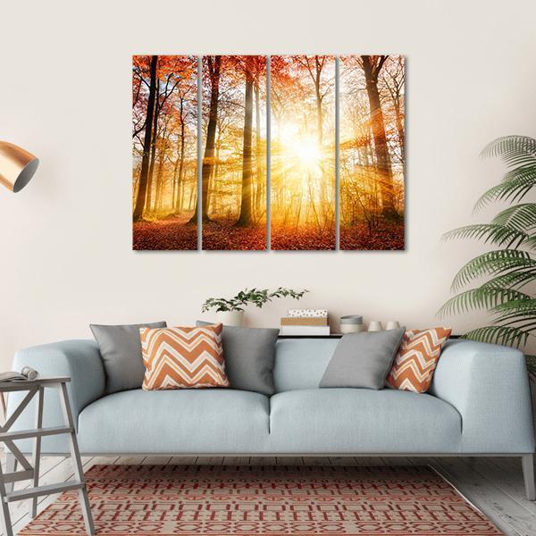 Warm Autumn Scenery In A Forest With The Sun Rays Canvas Wall Art-4 Horizontal-Gallery Wrap-34" x 24"-Tiaracle