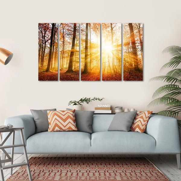 Warm Autumn Scenery In A Forest With The Sun Rays Canvas Wall Art-5 Horizontal-Gallery Wrap-22" x 12"-Tiaracle