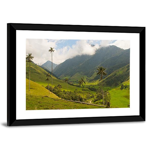 Wax Palm Trees Of Cocora Valley Canvas Wall Art-3 Horizontal-Gallery Wrap-25" x 16"-Tiaracle