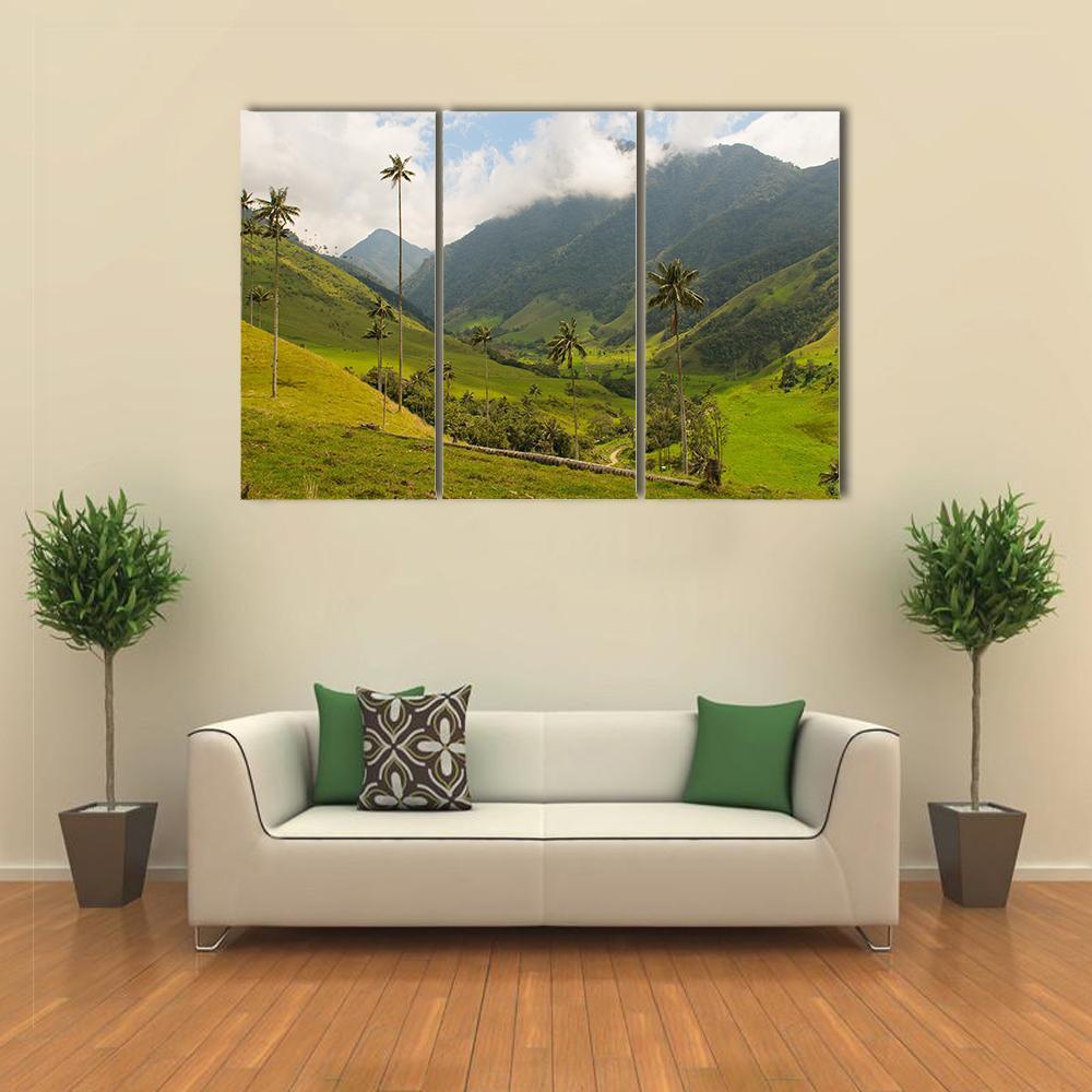 Wax Palm Trees Of Cocora Valley Canvas Wall Art-3 Horizontal-Gallery Wrap-37" x 24"-Tiaracle
