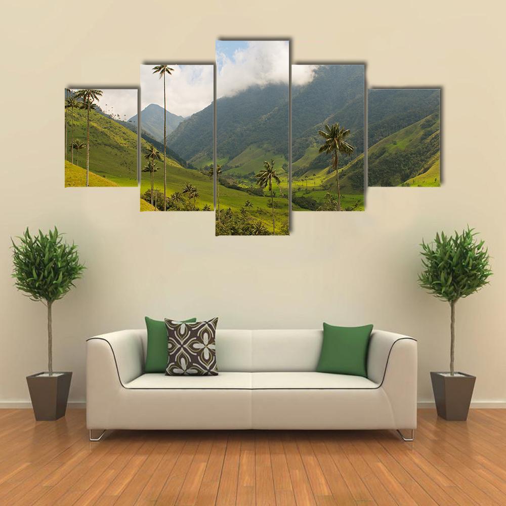 Wax Palm Trees Of Cocora Valley Canvas Wall Art-5 Star-Gallery Wrap-62" x 32"-Tiaracle