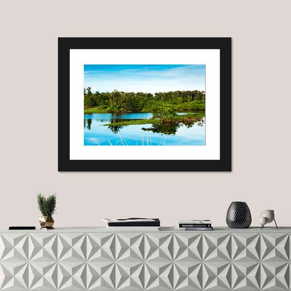 Wetland In Amazon Canvas Wall Art-1 Piece-Framed Print-20" x 16"-Tiaracle