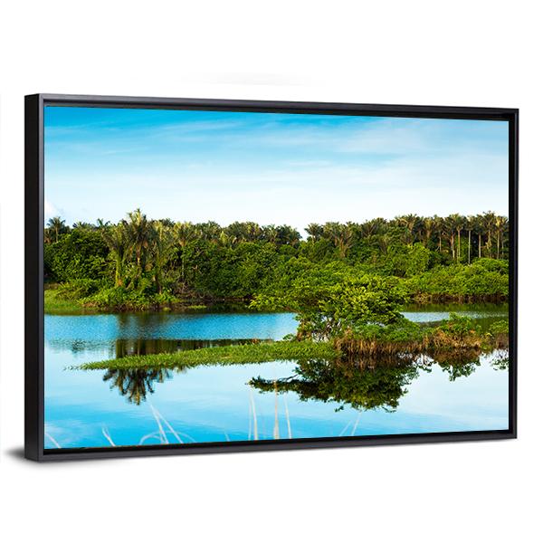 Wetland In Amazon Canvas Wall Art-3 Horizontal-Gallery Wrap-25" x 16"-Tiaracle