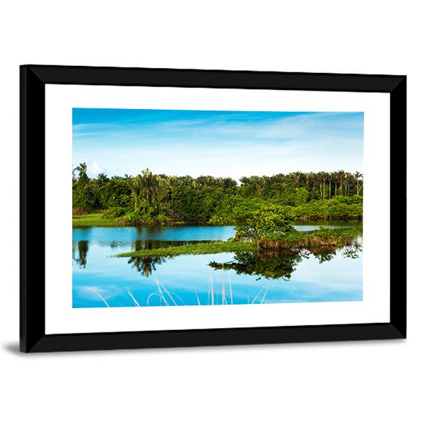 Wetland In Amazon Canvas Wall Art-3 Horizontal-Gallery Wrap-25" x 16"-Tiaracle