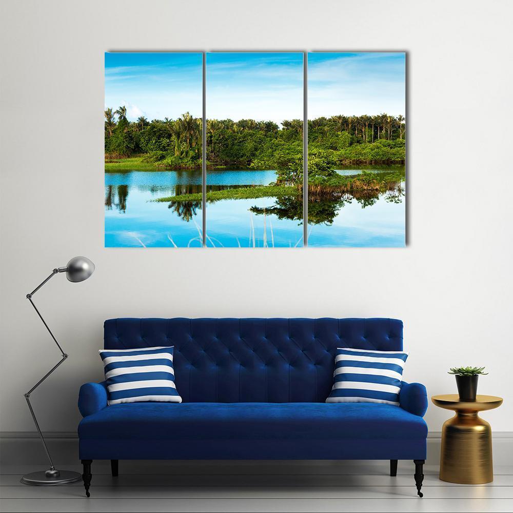Wetland In Amazon Canvas Wall Art-3 Horizontal-Gallery Wrap-37" x 24"-Tiaracle